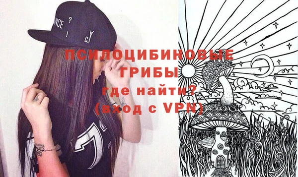 герыч Алексин